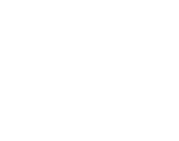 Casa de cachorro
